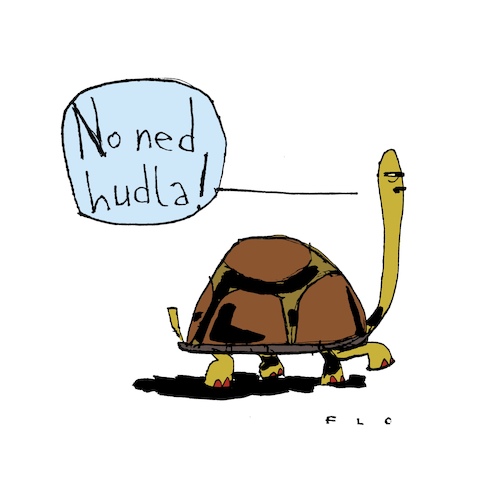 Cartoon: No ned hudla (medium) by F L O tagged schildkröte,eile,gelassenheit,schildkröte,eile,gelassenheit