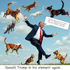 Cartoon: It is raining again (small) by ArtyFicial tagged trump,katzen,hunde,haiti,cats,dogs,manna