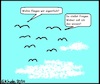 Cartoon: Du stellst Fragen... (small) by Schwabbel tagged vögel