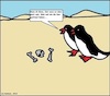 Cartoon: Glatt (small) by Walross tagged glatt,glatteis,sand,wüste,quatsch,nonsens,tiere,natur,pinguine