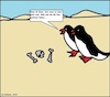 Cartoon: Glatt... (small) by Stiftquäler78 tagged glatt,glatteis,wüste,pinguine