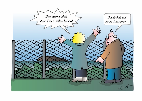 Cartoon: Armer Wal (medium) by Bernd Eisert tagged wal,timmy,leiden,tier,leben,klein,groß,tierliebe,verhältnis,wal,timmy,leiden,tier,leben,klein,groß,tierliebe,verhältnis