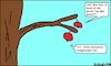 Cartoon: Rumgehangen... (small) by Klops tagged äpfel,hängen,rumhängen,sprache,apfelbaum