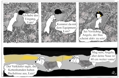 Cartoon: Dachshunde (medium) by ChrisHolt tagged tierwelt,dackelsicht