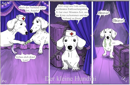 Cartoon: Hundini (medium) by ChrisHolt tagged agreement,dackelsicht