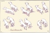 Cartoon: Ansichtssache (small) by ChrisHolt tagged positives,denken