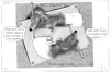 Cartoon: Das Sujet (small) by ChrisHolt tagged werktreue,dackelsicht