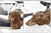 Cartoon: Herrschaftssprache (small) by ChrisHolt tagged politik,sprache,struktur
