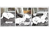 Cartoon: Regen (small) by ChrisHolt tagged regen,dackelsicht