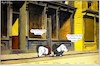 Cartoon: Sunday (small) by ChrisHolt tagged hopper,dackelsicht
