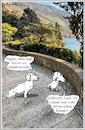 Cartoon: Zu klein (small) by ChrisHolt tagged schönheit,dackelsicht