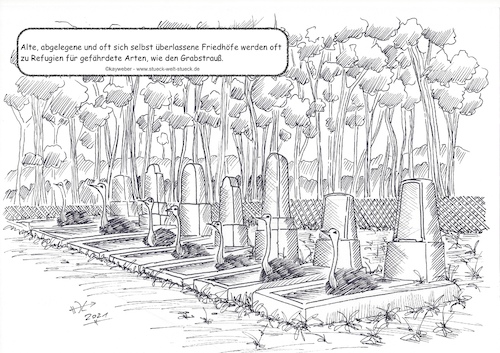 Cartoon: Grabsträuße (medium) by Kay Weber tagged tiere,pflanzen,blumen,friedhof,natur