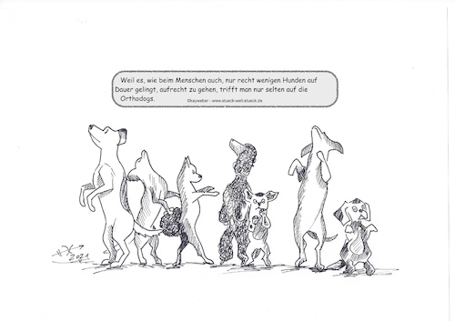 Cartoon: Orthodogs (medium) by Kay Weber tagged religion,hunde,aufrecht,gehen,selbstbewusst,selbstbestimmt,orthodox,kirche,richtigkeit,lehrmeinung,rechtgläubig,strenggläubig