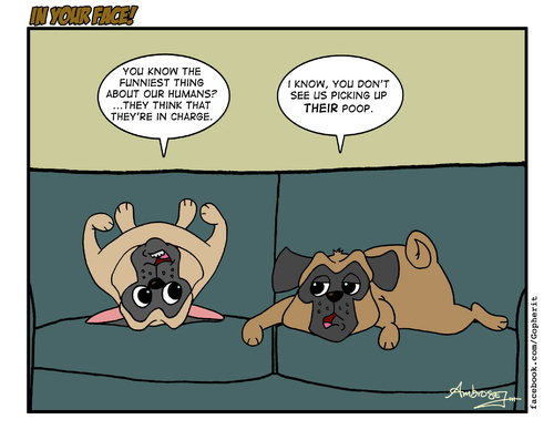 Cartoon: Pugs (medium) by Gopher-It Comics tagged gopherit,ambrose,pugs,dogs