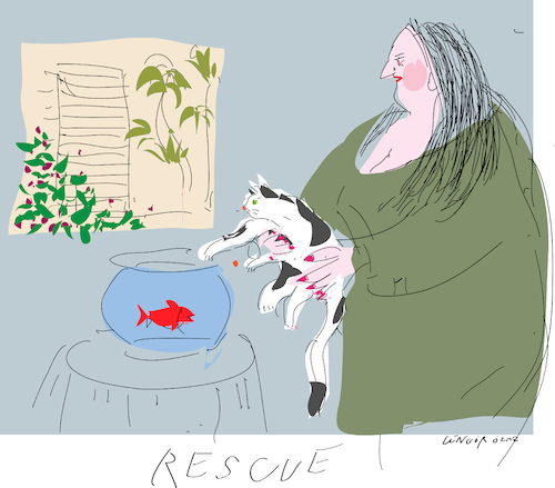 Cartoon: Cat and Fish (medium) by gungor tagged cat,cat