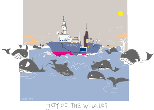 Cartoon: Joy of the Whales (medium) by gungor tagged australia
