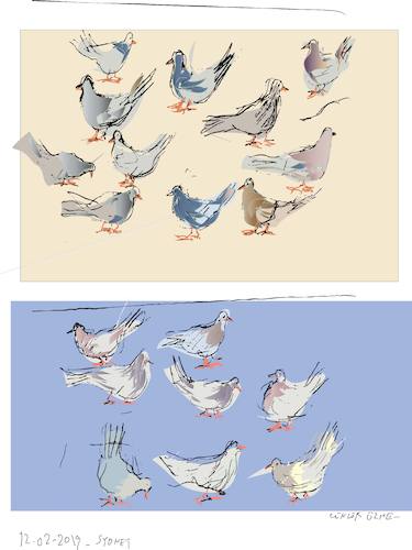 Cartoon: Pigeons (medium) by gungor tagged australia,australia