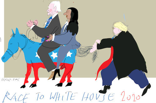 Cartoon: Race to White House (medium) by gungor tagged usa,usa