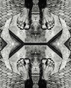 Cartoon: symmetric feet (small) by JP tagged symmetric,feet,foot,symmetrisch,füsse,fuss,mirror,spiegel,erkenntnis,sentence,clone,klon,reflexion,reflection,copy,duplikat,dupe