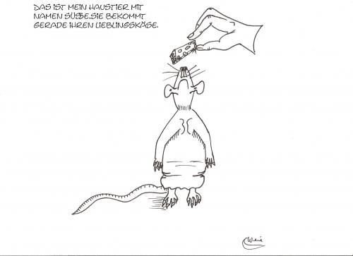 Cartoon: Meine Süße (medium) by Backrounder tagged haustier,ratte,käse