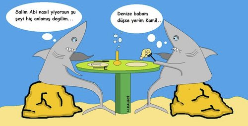 Cartoon: Shark chat (medium) by kaleci tagged cypriot