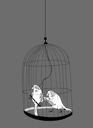 Cartoon: Budgie... (medium) by berk-olgun tagged budgie