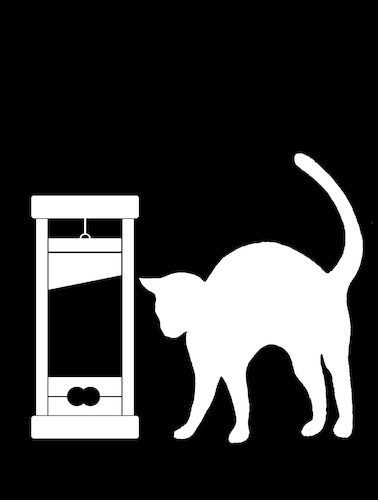 Cartoon: Cat Neutering... (medium) by berk-olgun tagged cat,neutering