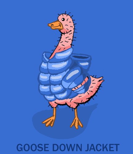 Cartoon: Goose Down Jacket... (medium) by berk-olgun tagged goose,down,jacket