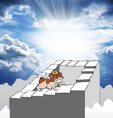 Cartoon: Hamster in Heaven... (medium) by berk-olgun tagged hamster,in,heaven