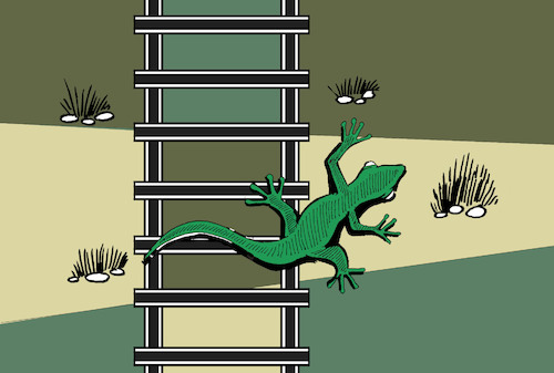 Cartoon: Lizard... (medium) by berk-olgun tagged lizard