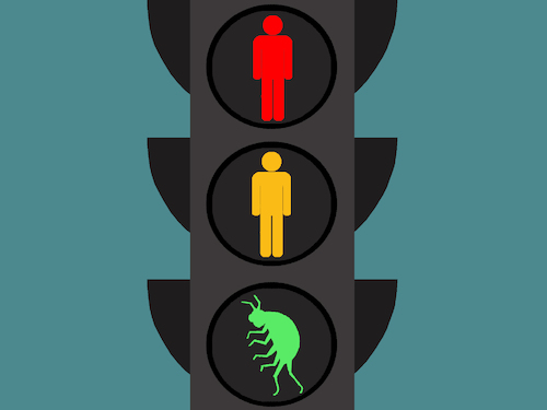 Cartoon: Metamorphosis... (medium) by berk-olgun tagged metamorphosis