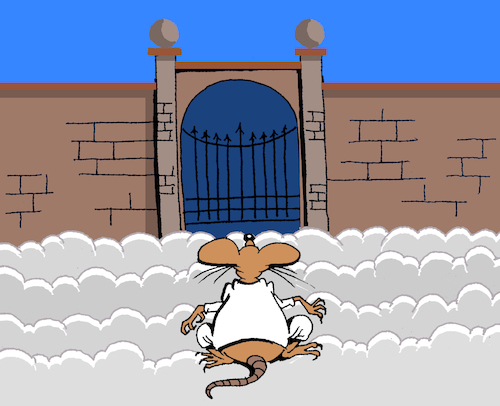Cartoon: Mouse Heaven... (medium) by berk-olgun tagged mouse,heaven
