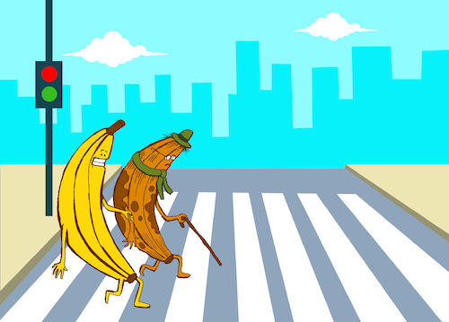 Cartoon: Old Banana... (medium) by berk-olgun tagged old,banana