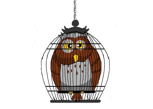 Cartoon: Owl... (medium) by berk-olgun tagged owl