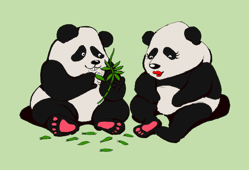 Cartoon: Panda in Love... (medium) by berk-olgun tagged panda,in,love