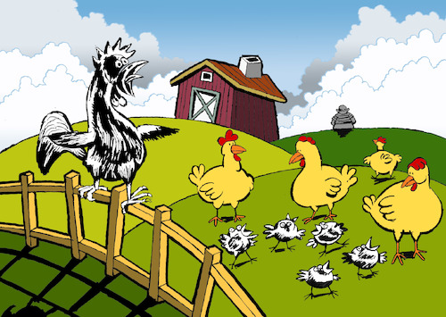 Cartoon: Picasso Farm... (medium) by berk-olgun tagged picasso,farm