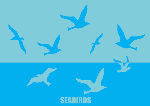 Cartoon: Seabirds... (medium) by berk-olgun tagged seabirds