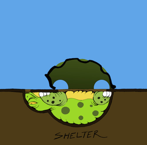 Cartoon: Shelter... (medium) by berk-olgun tagged shelter