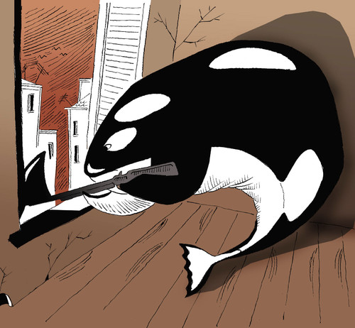 Cartoon: The Killer Whale... (medium) by berk-olgun tagged the,killer,whale