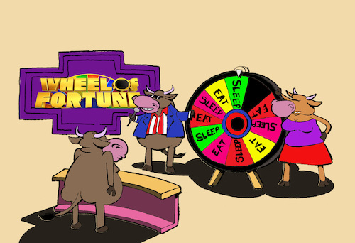 Cartoon: Wheel of Fortune... (medium) by berk-olgun tagged wheel,of,fortune