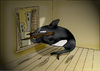 Cartoon: Killer Whale.. (small) by berk-olgun tagged killer whale