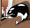 Cartoon: The Killer Whale... (small) by berk-olgun tagged the,killer,whale
