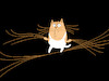 Cartoon: Whiskers... (small) by berk-olgun tagged whiskers