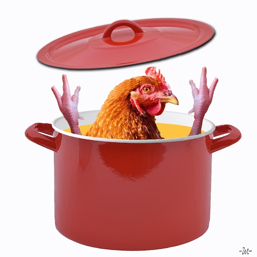 Cartoon: Chicken Soup (medium) by zu tagged broth,pot,chicken