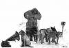 Cartoon: Antarctica (small) by zu tagged antarctis his masters voice