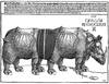 Cartoon: Articulated rhyno (small) by zu tagged articulated,bus,rhyno,dürer