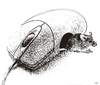 Cartoon: Mice (small) by zu tagged mouse,tech,animal