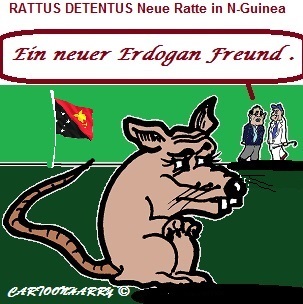 Cartoon: Ein Neuer Erdogan Freund (medium) by cartoonharry tagged ratte,freund,rattusdetentus,erdogan,neuguinea