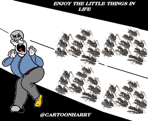 Cartoon: Enjoy (medium) by cartoonharry tagged enjoy,little,things,life