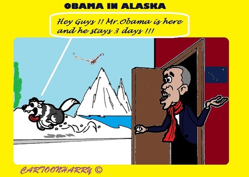 Cartoon: Even the Dogs (medium) by cartoonharry tagged obama,alaska,dogs,happy,visit,green,cartoonharry